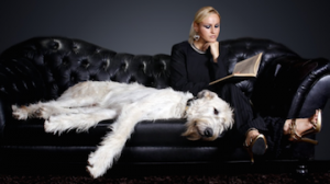Lori Carr Blog